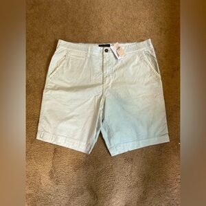 American Eagle Outfitters Gray Flat Front Shorts